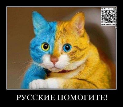 Прикрепленное изображение: 10996996_1399989160312427_8277243707891197199_n.jpg